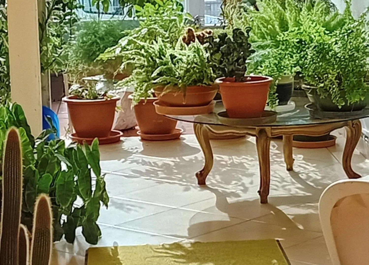 Ls Residence De Jeanny Baie-Mahault Guadeloupe